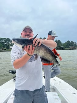 Blue Catfish Fishing in Etoile, Texas