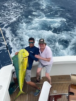 Mahi Mahi Fishing in San Juan, Puerto Rico