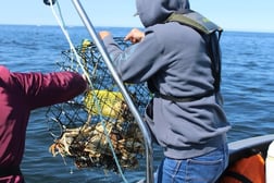 Sturgeon Fishing in Garibaldi, Oregon