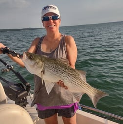 Hybrid Striped Bass Fishing in Runaway Bay, Texas