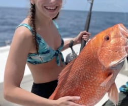 Red Snapper Fishing in Clearwater, Florida