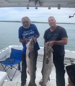 Striped Bass fishing in Montauk, New York