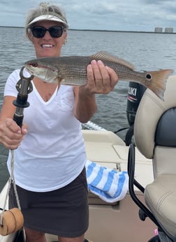 Redfish Fishing in Fort Myers Beach, Florida