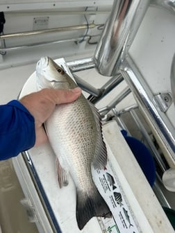 Fishing in Port Orange, Florida