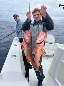 Fishing in San Diego, California