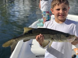 Snook Fishing in Jupiter, Florida