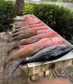 Bluefin Tuna fishing in Sarasota, Florida