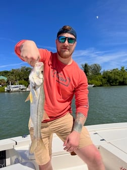 Snook fishing in Fort Myers, Florida