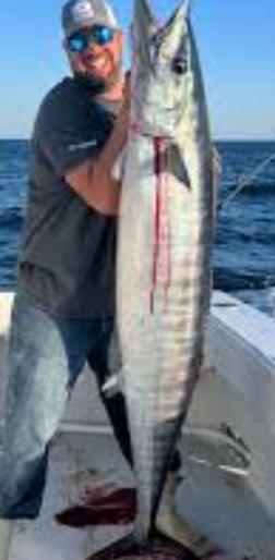 Cobia Fishing in Clearwater, Florida