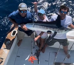 Mahi Mahi / Dorado, Red Grouper Fishing in Destin, Florida