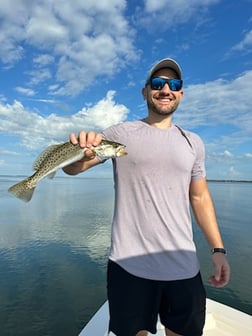 Speckled Trout Fishing in Sarasota, Florida