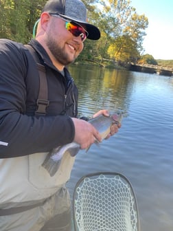 Rainbow Trout Fishing in Broken Bow, Oklahoma