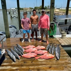 Blackfin Tuna, Red Snapper Fishing in Freeport, Texas