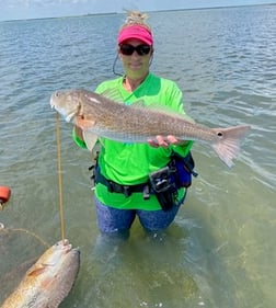 Black Drum, Flounder, Redfish, Speckled Trout Fishing in Ingleside, Texas