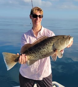 Hogfish, Scup / Porgy Fishing in Clearwater, Florida