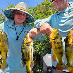 Fishing in Fort Lauderdale, Florida