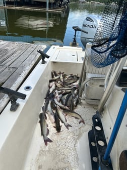 Fishing in Willis, Texas