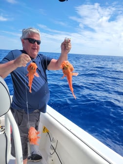 King Mackerel / Kingfish fishing in Fort Lauderdale, Florida