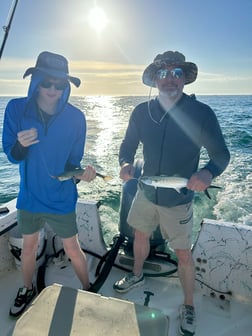 Spanish Mackerel Fishing in Wilmington, North Carolina