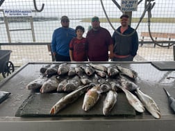 Black Drum, Flounder, Redfish, Speckled Trout Fishing in Palacios, Texas