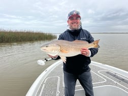 Sheepshead Fishing in Buras, Louisiana