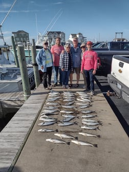 Little Tunny / False Albacore, Sheepshead, Spanish Mackerel Fishing in Frisco, North Carolina