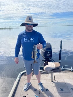 Largemouth Bass fishing in Lake Okeechobee, Florida