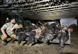 Hog Hunting in Fulshear, Texas