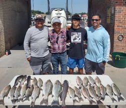 Hybrid Striped Bass Fishing in Runaway Bay, Texas