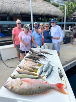 Blackfin Tuna Fishing in Key West, Florida