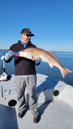 Redfish Fishing in Golden Meadow, Louisiana