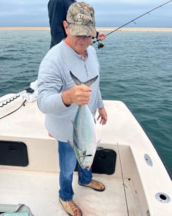 Little Tunny / False Albacore Fishing in Jacksonville, Florida