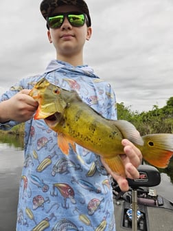 Fishing in Fort Lauderdale, Florida