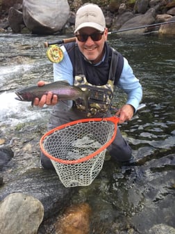 Rainbow Trout Fishing in Hume, California