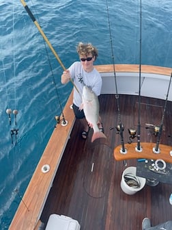 Mutton Snapper Fishing in Marathon, Florida