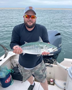 Little Tunny / False Albacore Fishing in Jacksonville, Florida