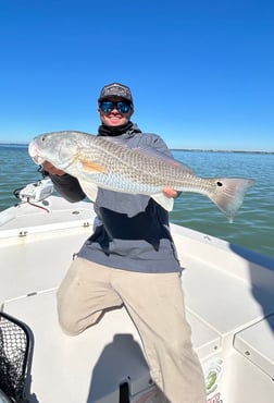 Fishing in Sarasota, Florida