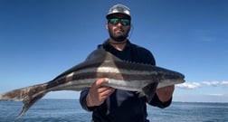 Kingfish Fishing in St. Petersburg, Florida