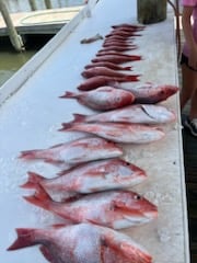 Fishing in Gulf Shores, Alabama