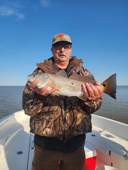 Redfish Fishing in Boothville-Venice, LA, USA