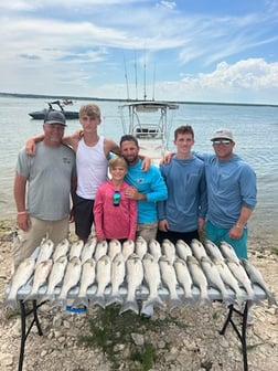 Striped Bass Fishing in Whitney, Texas