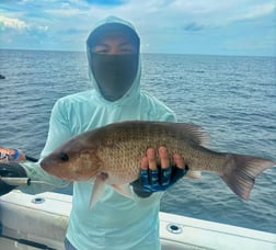 Fishing in Holiday, Florida