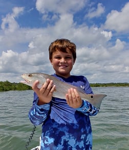 Snook fishing in St. Augustine, Florida