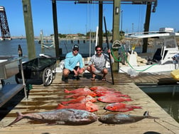 Amberjack, Kingfish, Red Snapper Fishing in Freeport, Texas