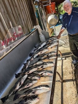 Fishing in Biloxi, Mississippi