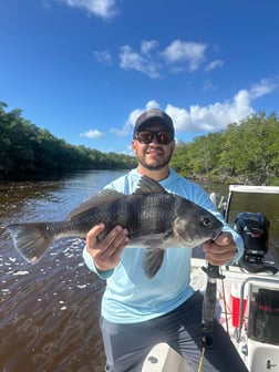 Fishing in Miami, Florida