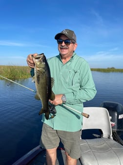 Largemouth Bass Fishing in Lake Okeechobee, Florida