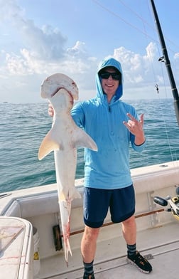 Mangrove Snapper Fishing in Galveston, Texas