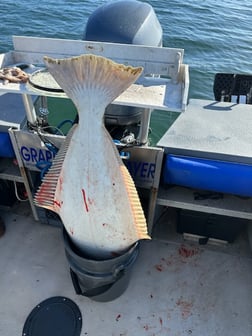 Halibut Fishing in Oxnard, California