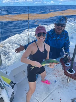 Mahi Mahi / Dorado fishing in Naples, Florida